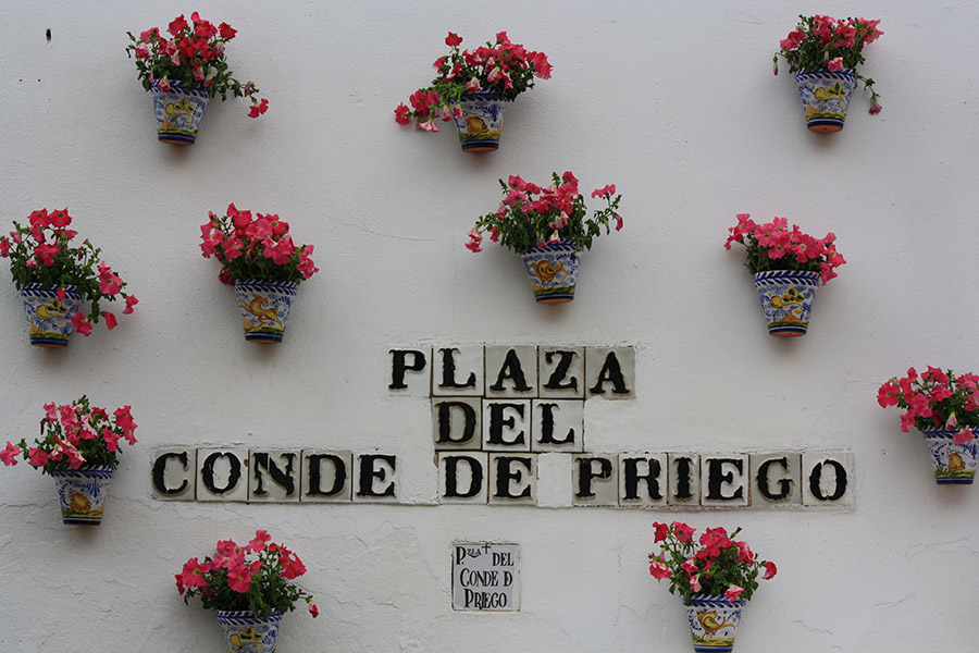 Mur en fleurs pour la fête Cruces de Mayo en Andalousie