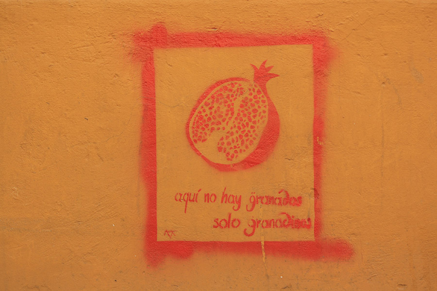 Grenade n'est pas un fruit mais une ville d'Espagne