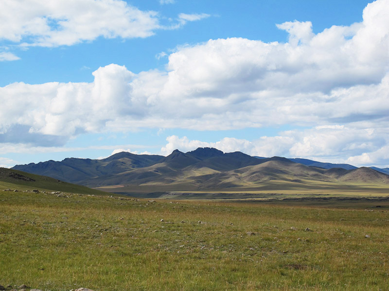 mongolie steppes
