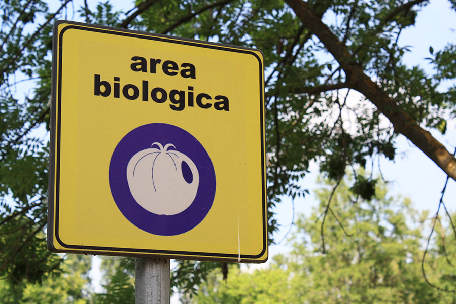Biodivercity, agriculture biologique urbaine