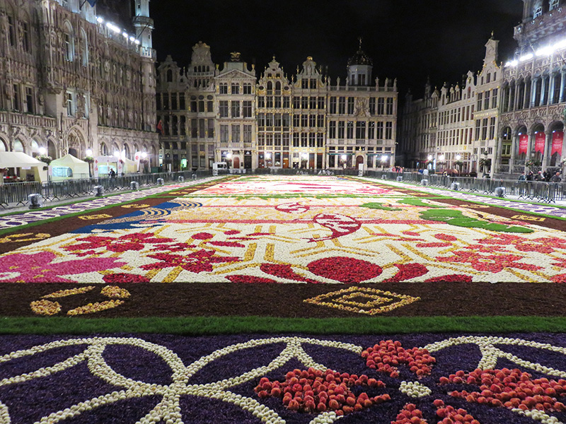 Tapis de fleur à Bruxelles by night