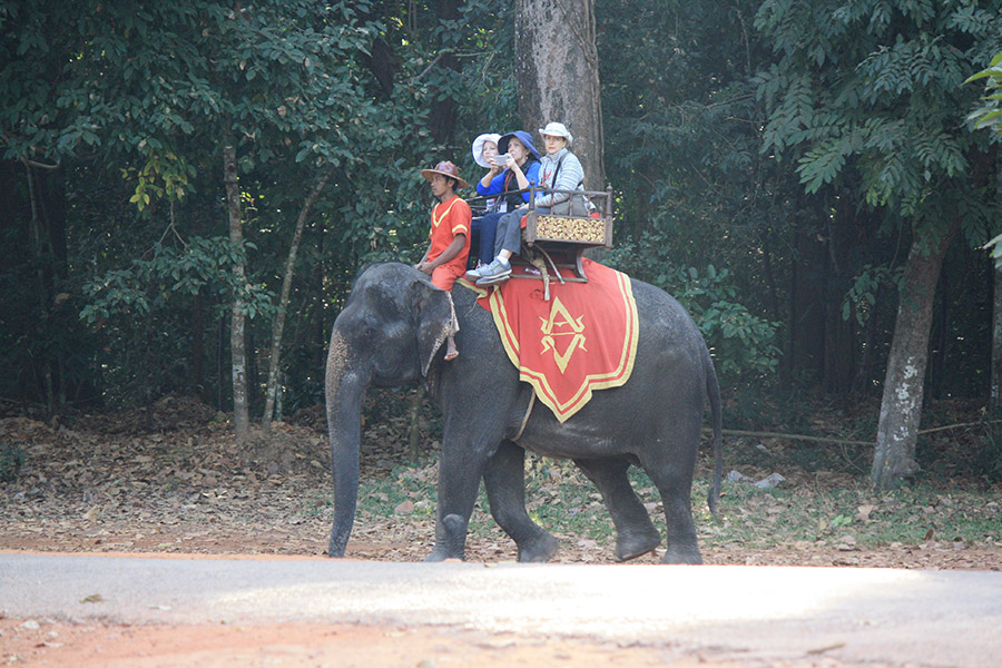 cambodge_Angkor_transport (1)