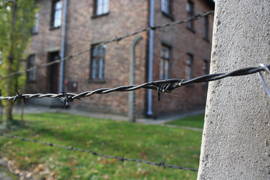 Grillage et barbelés à Auschwitz Birkenau