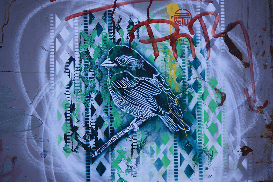 Stew et son oiseau graffiti