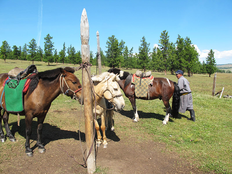 mongolie_khovsgol_balade_a_cheval (6)