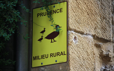 Road-trip en Dordogne: de Sarlat à Rocamadour