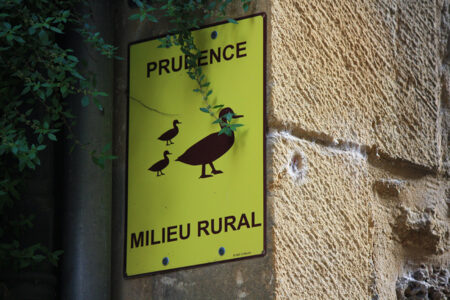 Lire la suite à propos de l’article Road-trip en Dordogne: de Sarlat à Rocamadour