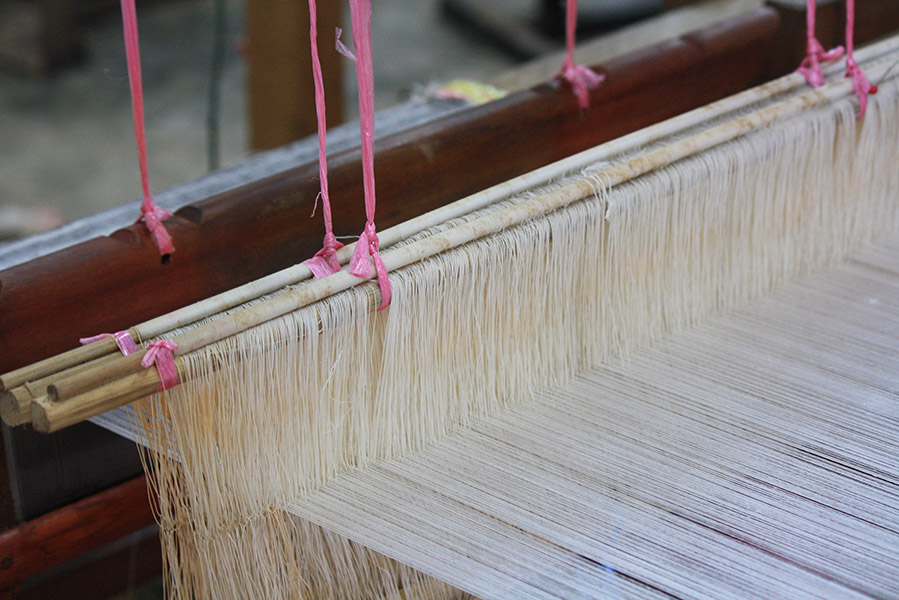 Fibres textiles : coton ou laine