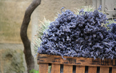 Week-end en France : Avignon, Baux-de-Provence et Arles