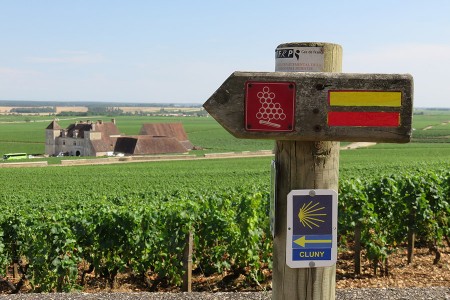 Lire la suite à propos de l’article Pass Dijon-Côte de Nuit