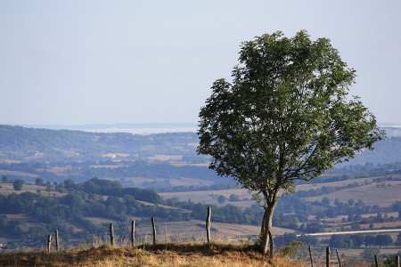 Lire la suite à propos de l’article GR30 entre volcans et lacs d’Auvergne