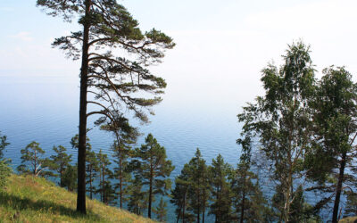 Le lac Baïkal et son trail