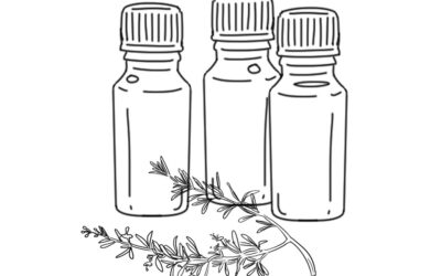 Quelle huile essentielle apporter en voyage ?