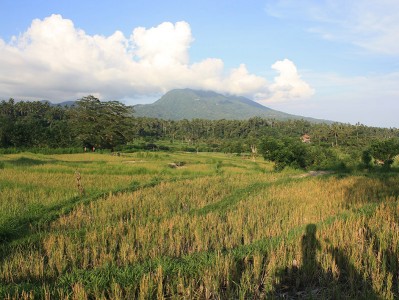 Lire la suite à propos de l’article Bali, scooter autour d’Amed