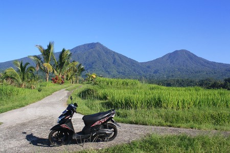 Lire la suite à propos de l’article Volcan Batur et rizières de Jatiluwih
