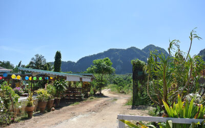Grotte à Khao Sok