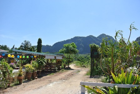 Lire la suite à propos de l’article Grotte à Khao Sok