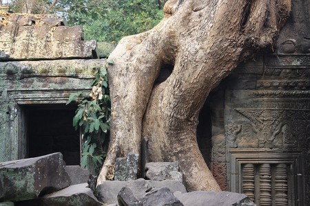 Lire la suite à propos de l’article Un rêve à Ta Prohm