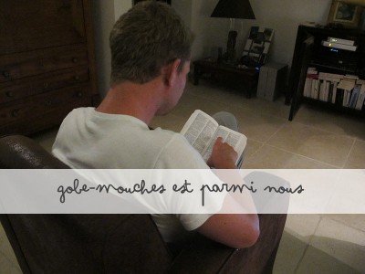 Lire la suite à propos de l’article Gobe-mouches is in the place