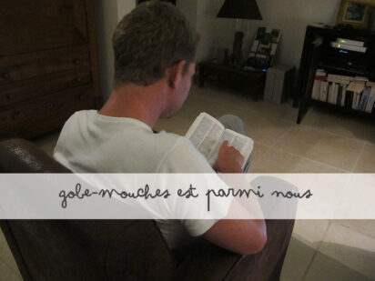 Gobe-mouches is in the place