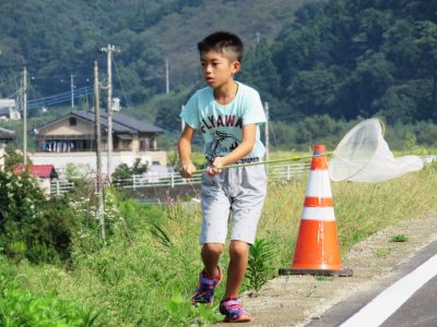 Lire la suite à propos de l’article Japon rural : une semaine à la campagne