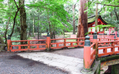 En route vers la première capitale fixe du Japon : Nara