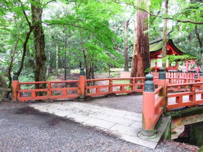 Lire la suite à propos de l’article En route vers la première capitale fixe du Japon : Nara