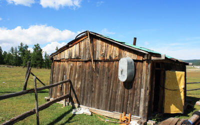 Vis ma vis … en Mongolie