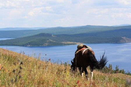Lire la suite à propos de l’article Randonnée à cheval et Tsaatans