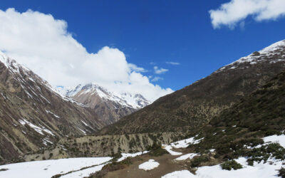 Trek circuit des Annapurnas : de Manang à …