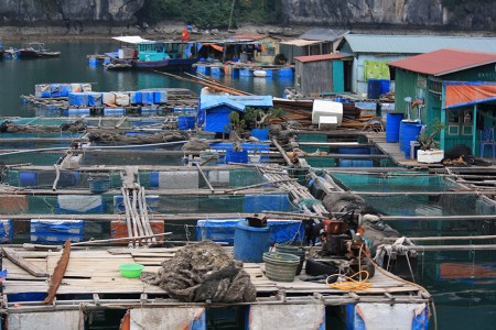 Lire la suite à propos de l’article Cat Ba, une alternative à la baie d’Along