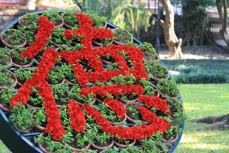 Lire la suite à propos de l’article Dernier jour à Hanoi